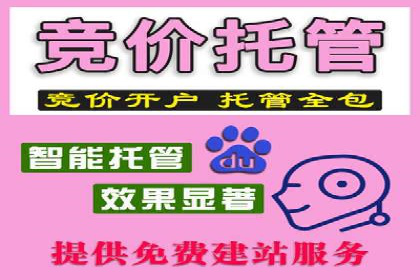 行业经典案例：SEM推广代运营如何助力销售增长